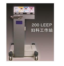 LEEP<font color=red>工作站</font>SAIRONG 200豪華型 