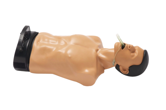 安保氣道訓(xùn)練模型機械型Ambu Airway Man W