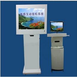 體感互動(dòng)系統(tǒng)