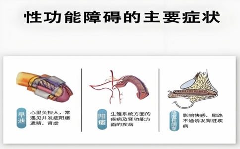 強弓治療儀 06-24-2025